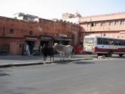 Indien_2009_0005