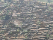 Nepal_2009_0070