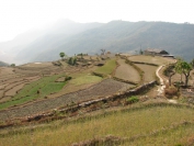 Nepal_2009_0002