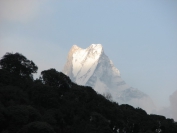 Nepal_2009_0028