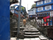 Nepal_2009_0035