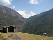 Nepal_2009_0051