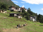 Buthan_Trekking_2010_0070