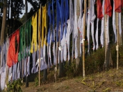 Indien_2012_Darjeeling_0026