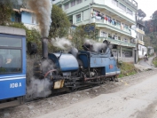 Indien_2012_Darjeeling_0084