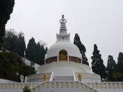 Indien_2012_Darjeeling_0100