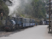 Indien_2012_Darjeeling_0102