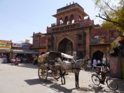 Indien_2012_Rajasthan_0124