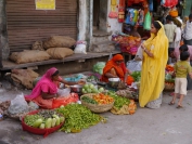 Indien_2012_Rajasthan_0206