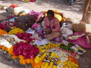 Indien_2012_Rajasthan_0240