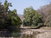 Indien_2012_Ranthambhore_0007