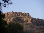 Indien_2012_Ranthambhore_0016