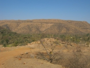 Indien_2012_Ranthambhore_0027