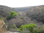 Indien_2012_Ranthambhore_0038