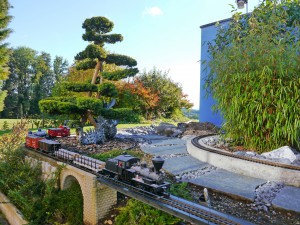 Gartenbonsai in Gartenbahn