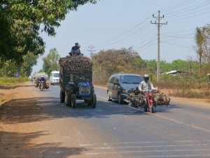 Phnom Penh - Senmonorom: Maniok-und Hühner-Transport