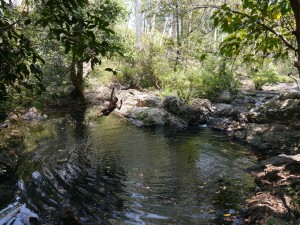 Banlung Dschungel-Trekking: lokaler Guide nimmt ein Bad