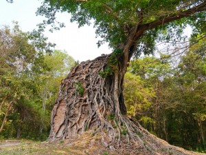 Sambor Prei Kuk bei Kampong Thom