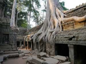 Ta Prohm