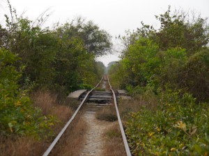 Battambang: Bamboo Train