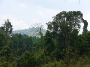 Battambang - Koh Kong: Unterwegs