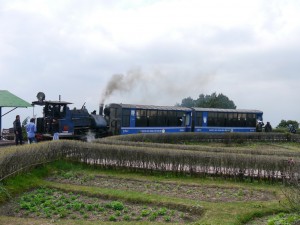 DHR: Dampfzug zwischen Darjeeling und Ghom