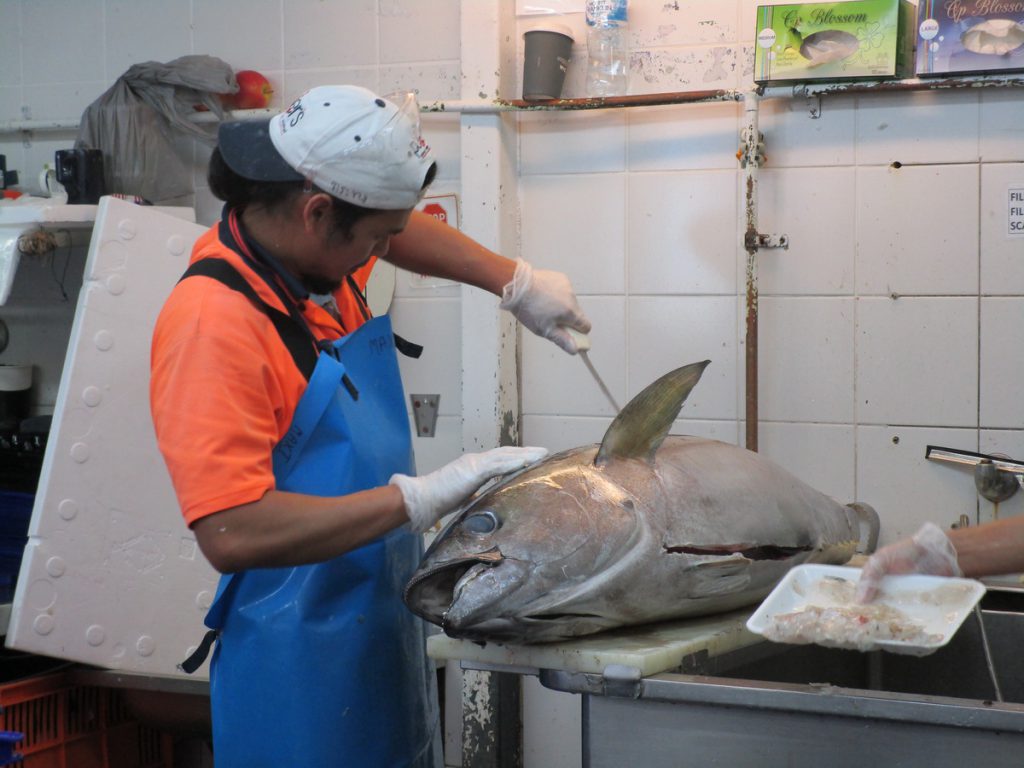 Sydney - Fischmarkt Tuhnfisch