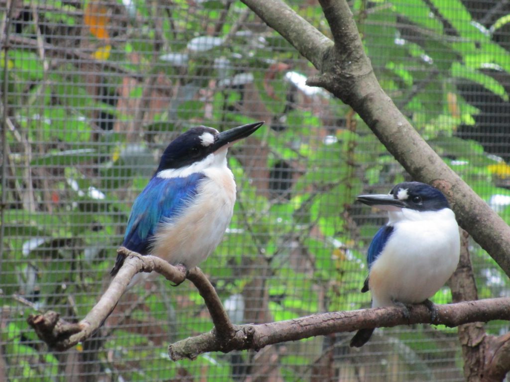 Newcastle Zoo