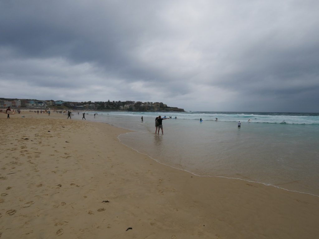 Bondi Beach