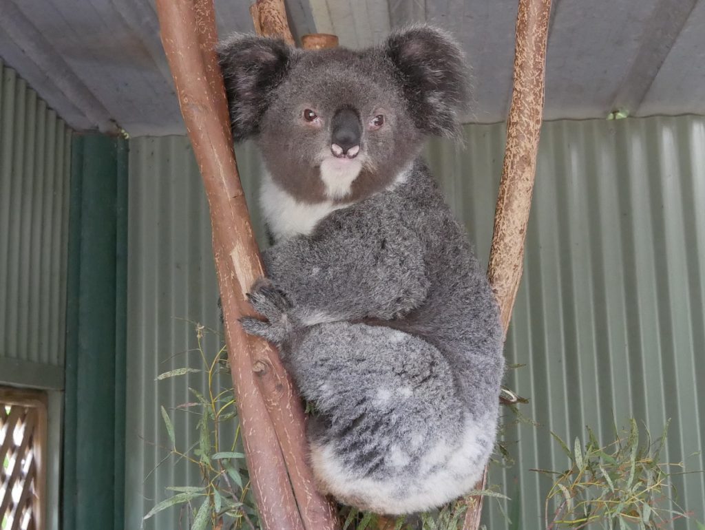 Featherdale Wildlife Park