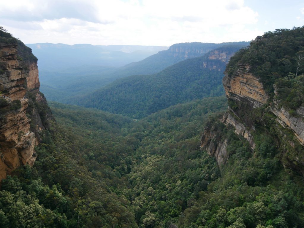 Blue Mountains