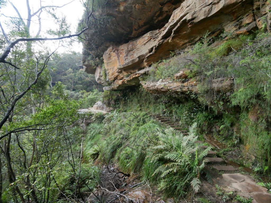 Blue Mountains - Wentworth Falls