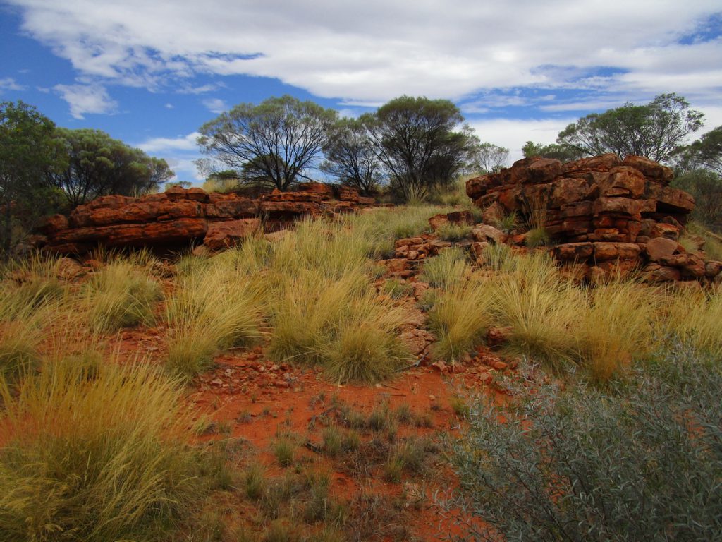 Kings Canyon Resort - Ausblick aus unserem Zimmer