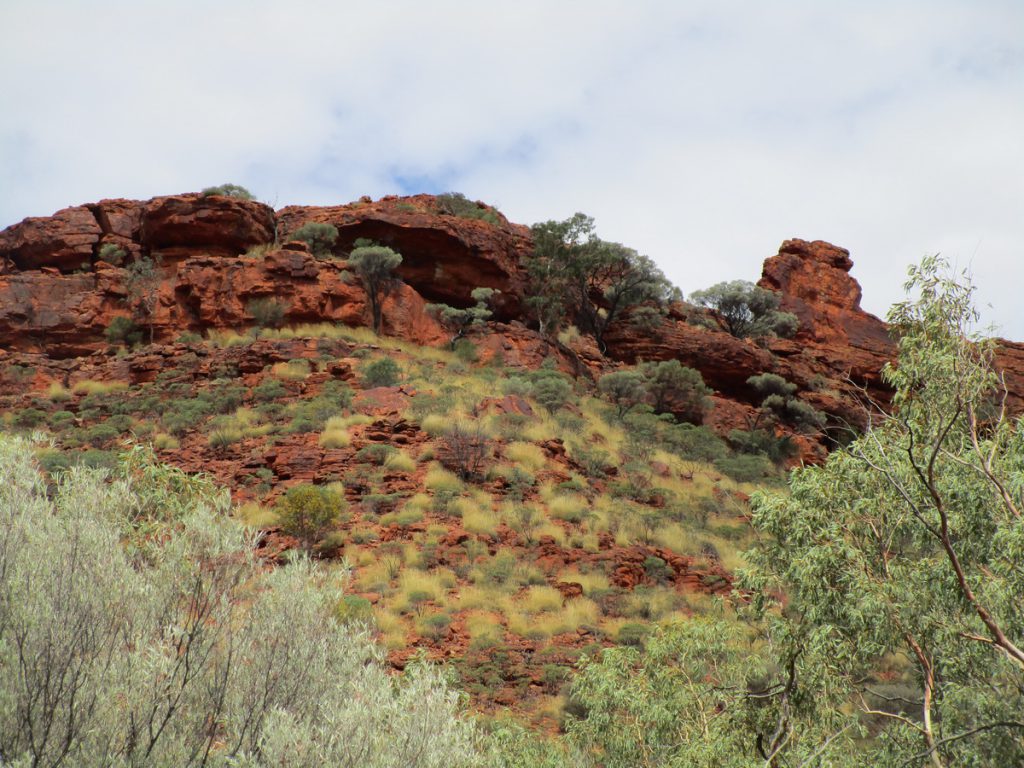 Kings Canyon