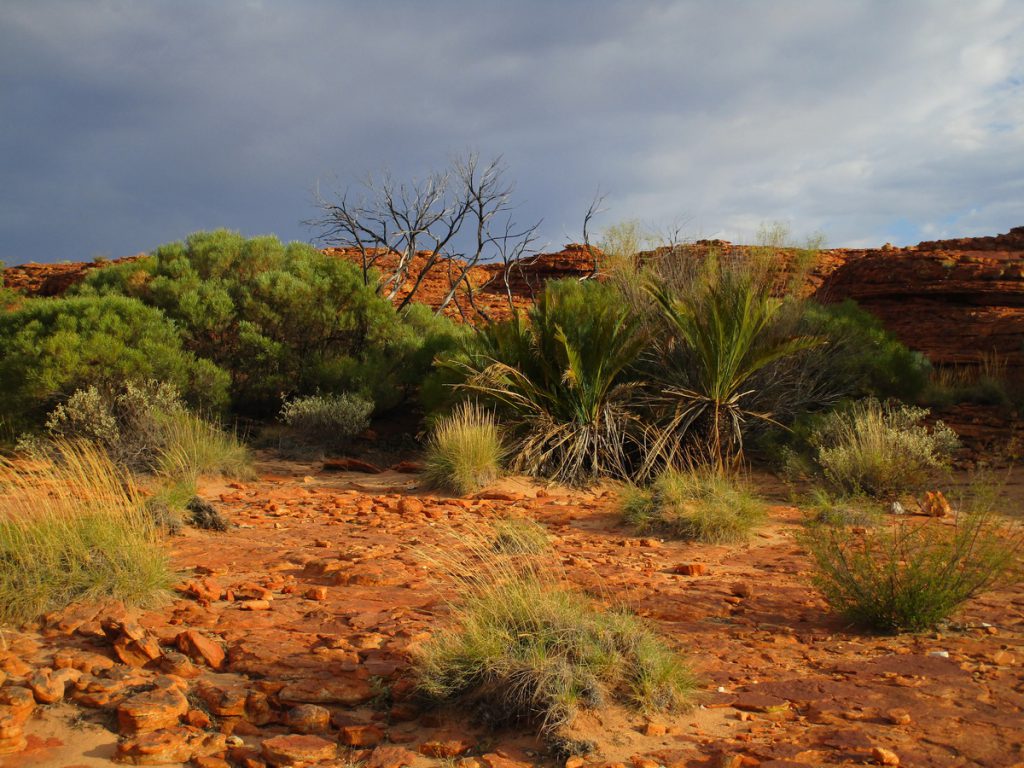 Kings Canyon