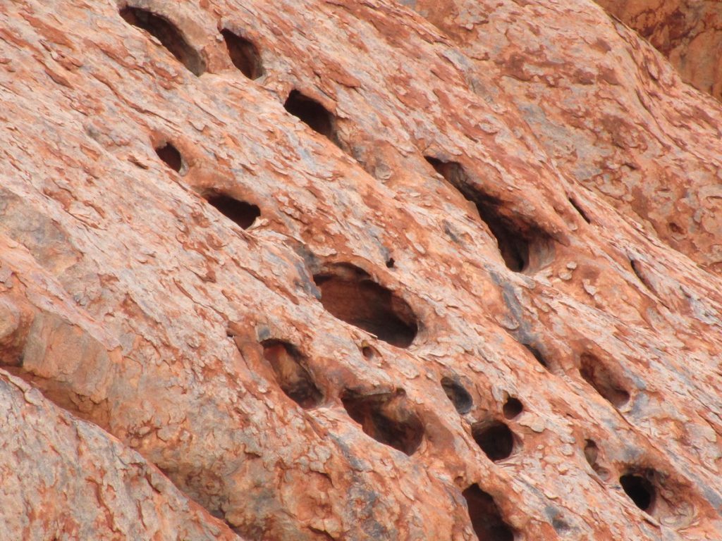 Uluru Detail