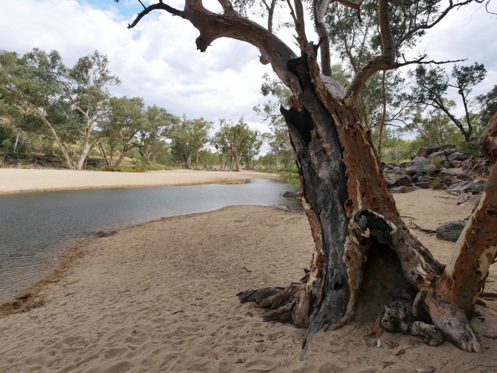 Ormiston Gorge