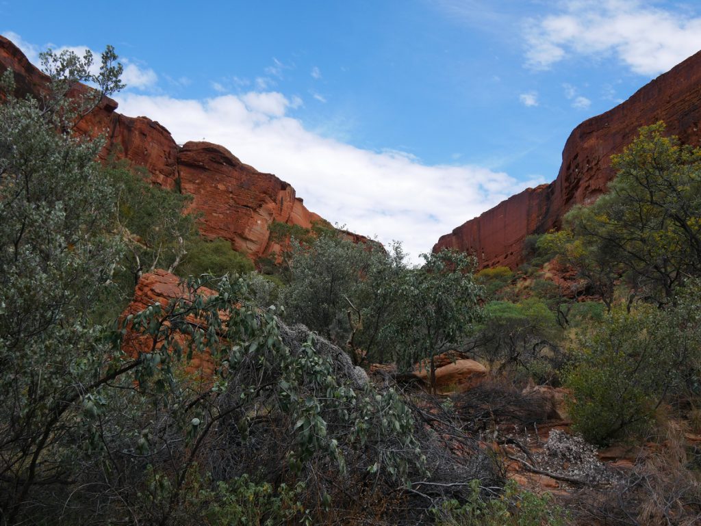 Kings Canyon