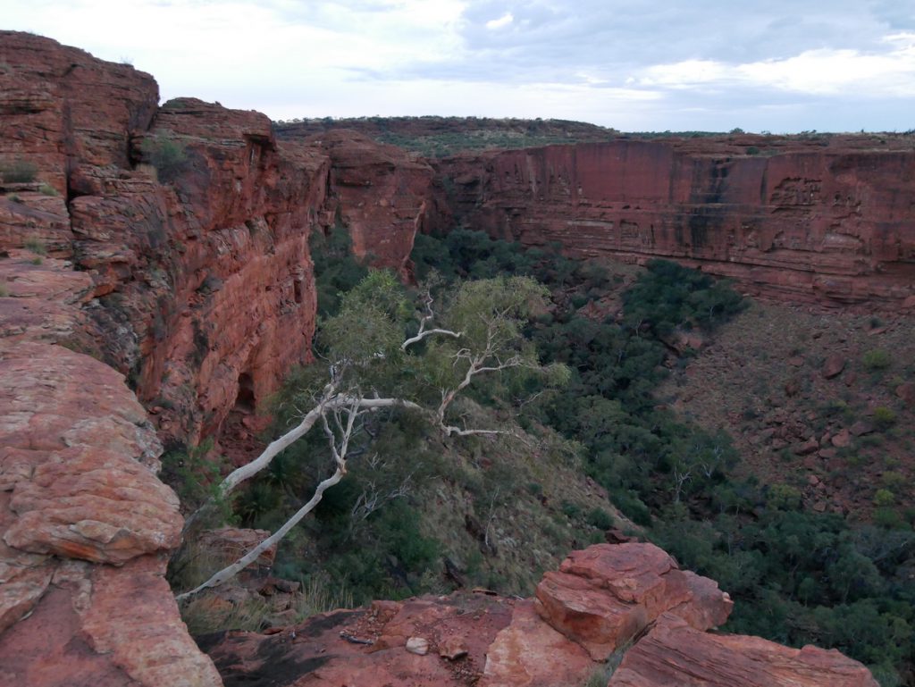 Kings Canyon