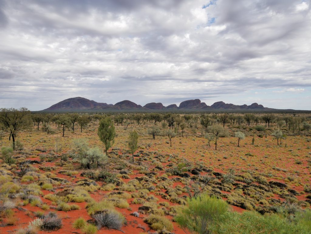 Kata Tjuta am Morgen früh