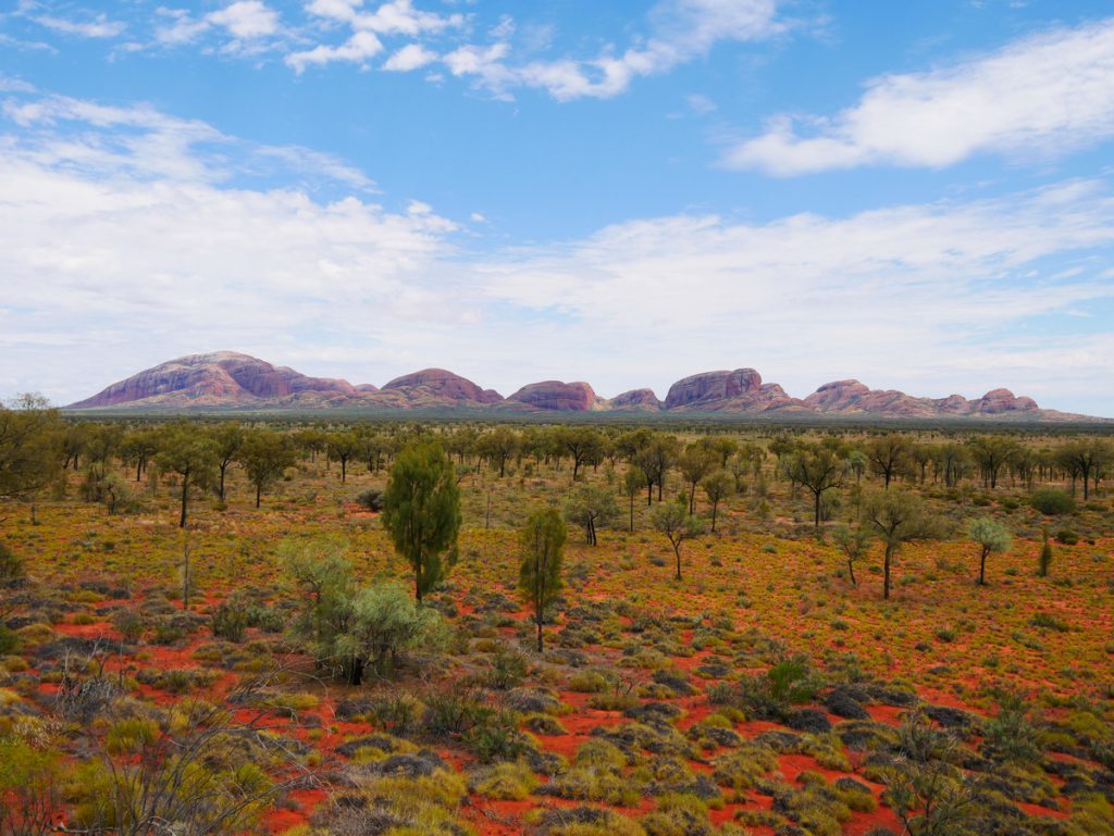 Kata Tjuta am Mittag