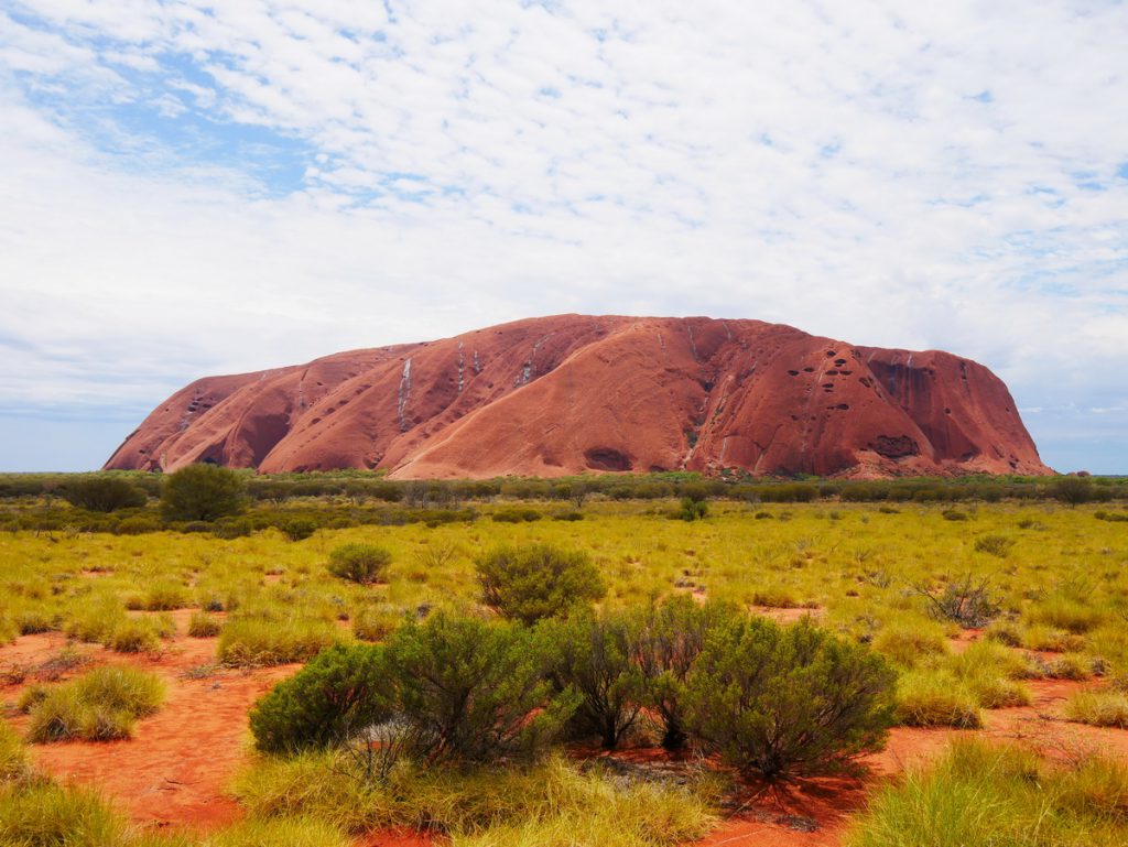 Uluru am Mittag