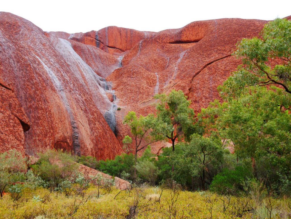 Uluru Detail