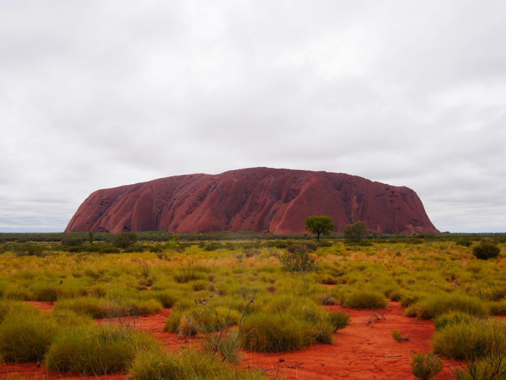 Uluru am Morgen nach sehr starkem Regen